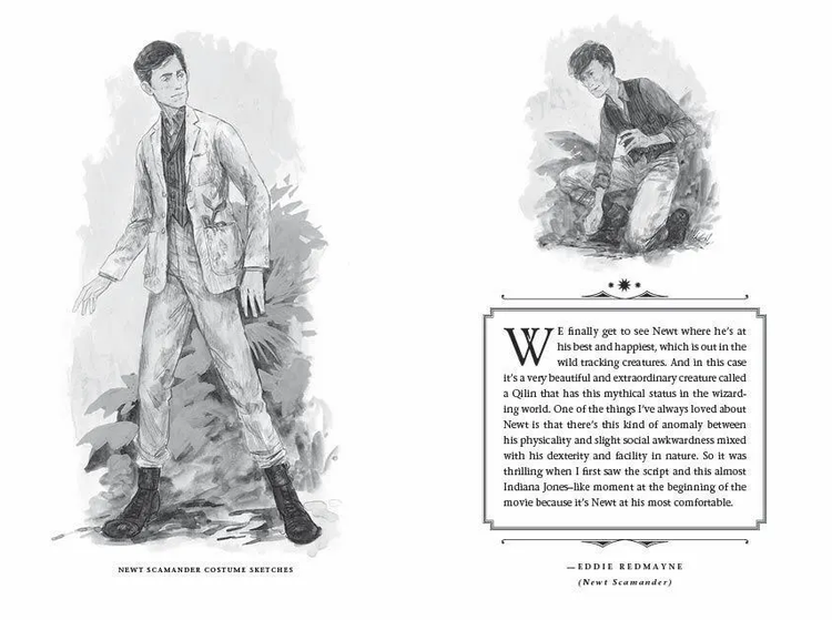 神奇动物：邓布利多之谜