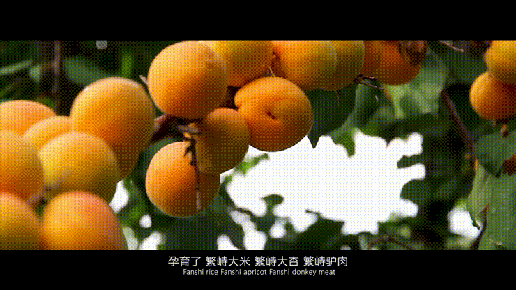 繁峙县