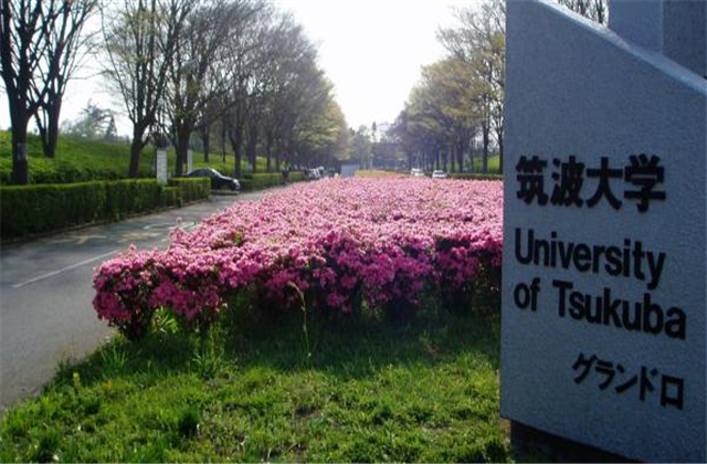 筑波大学院