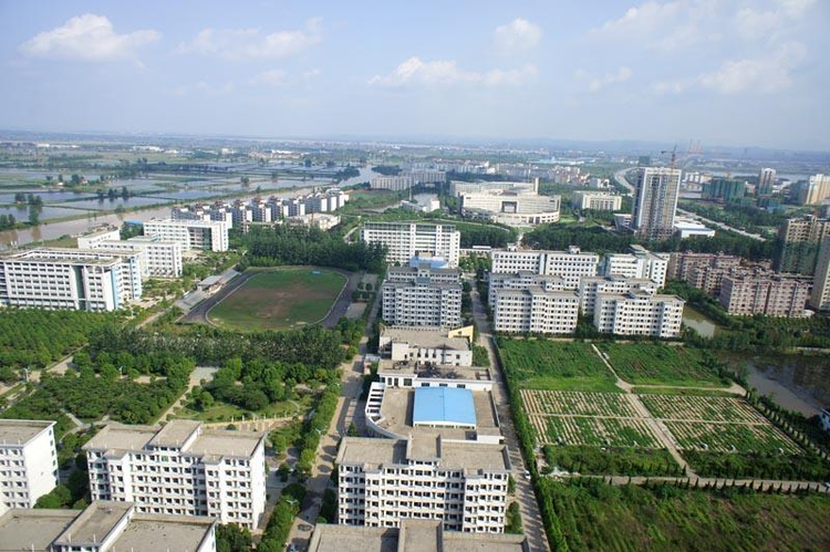 鄂东