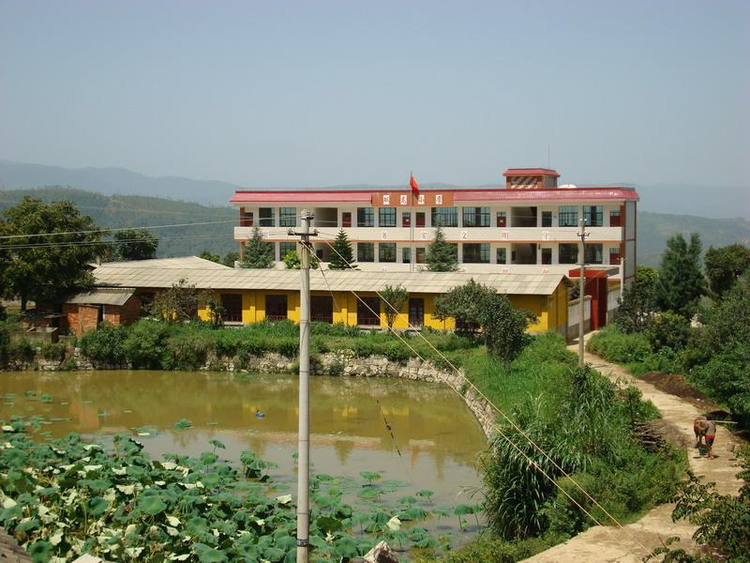 学校