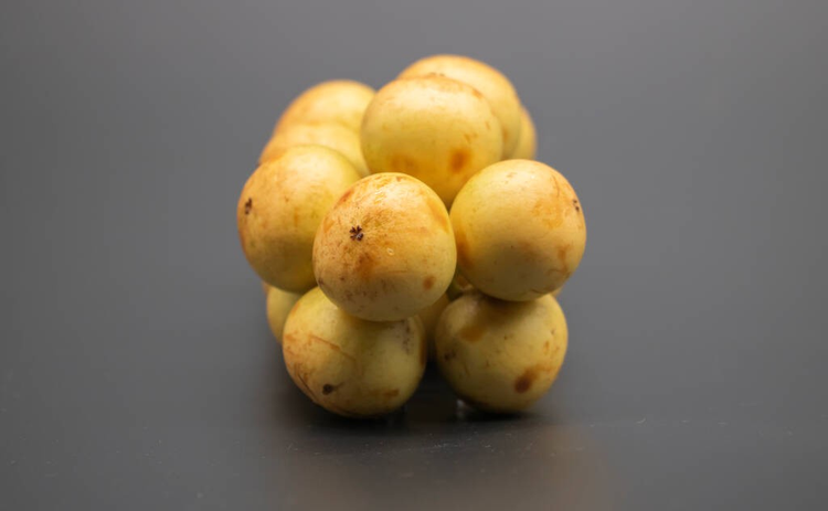 马蹄莲