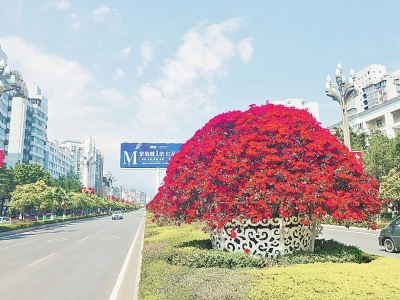 西昌市市花.png