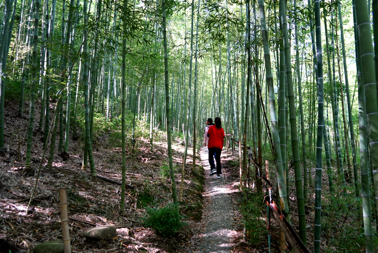 峨山彝族自治县