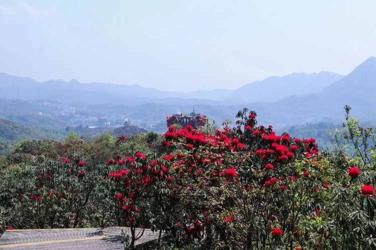 奢香岭.jpeg