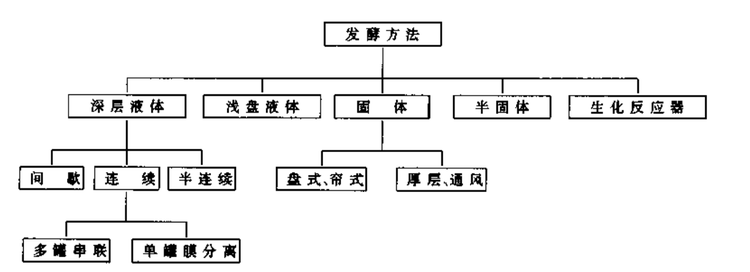 柠檬酸发酵工艺.png