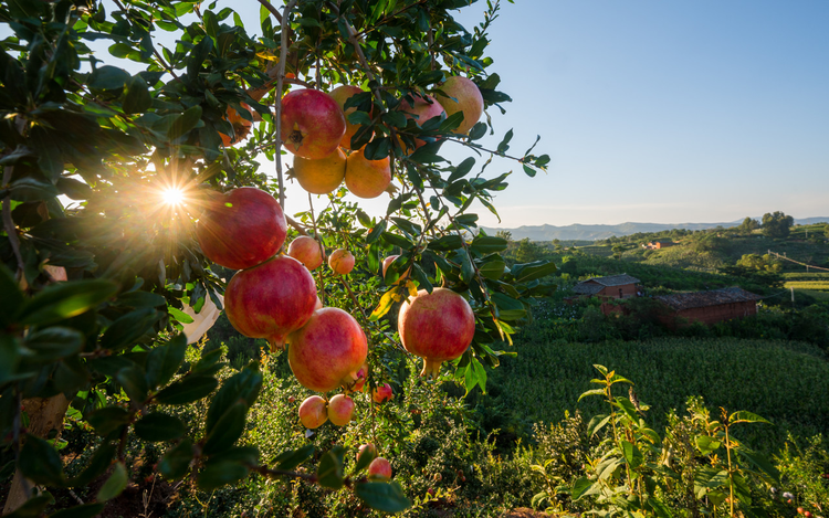 凉山彝族自治州