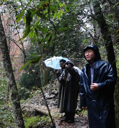 湖北木林子国家级自然保护区