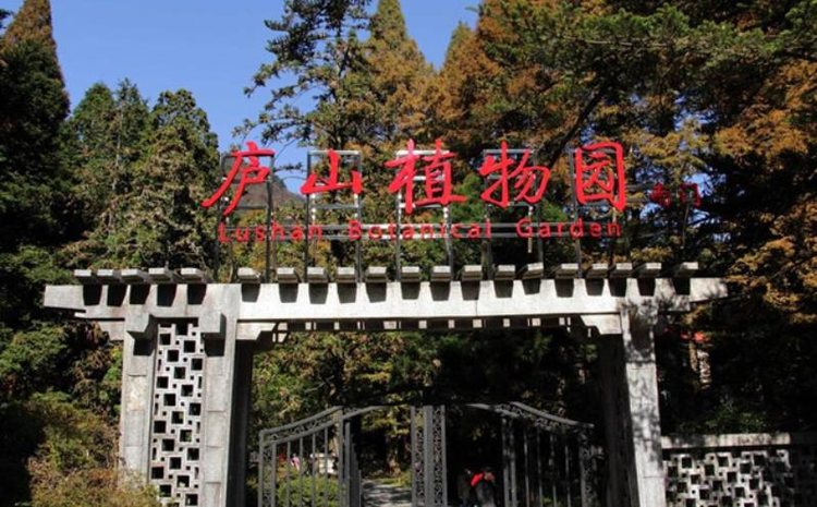 庐山植物园.jpeg