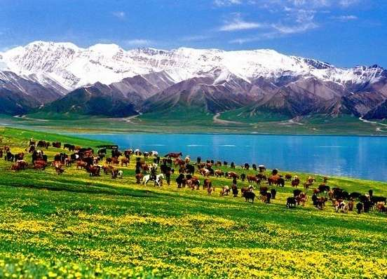 唐布拉国家森林公园