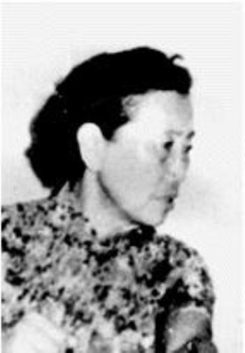 谢冰莹