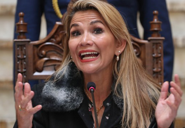 珍妮娜·阿涅斯·查韦斯