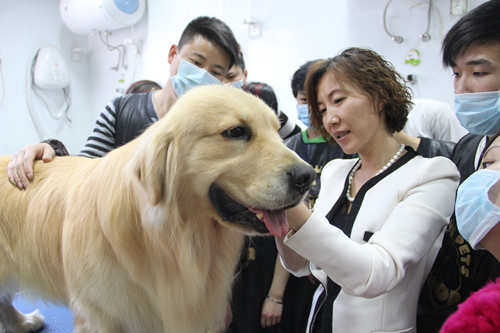 圣宠宠物美容学校
