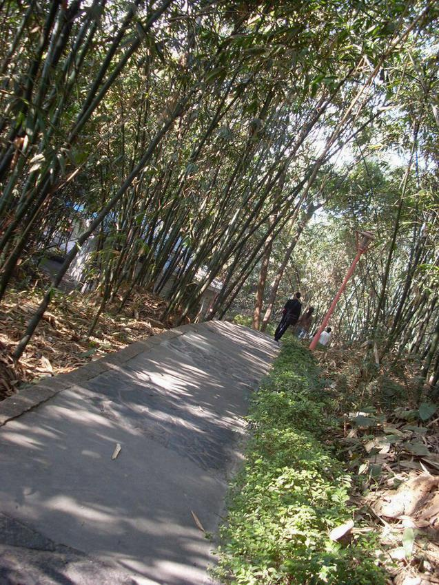 漳州市芝山公园