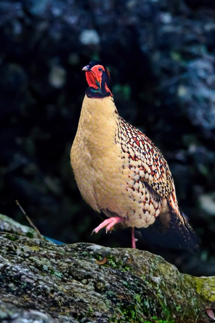 乳源瑶族自治县