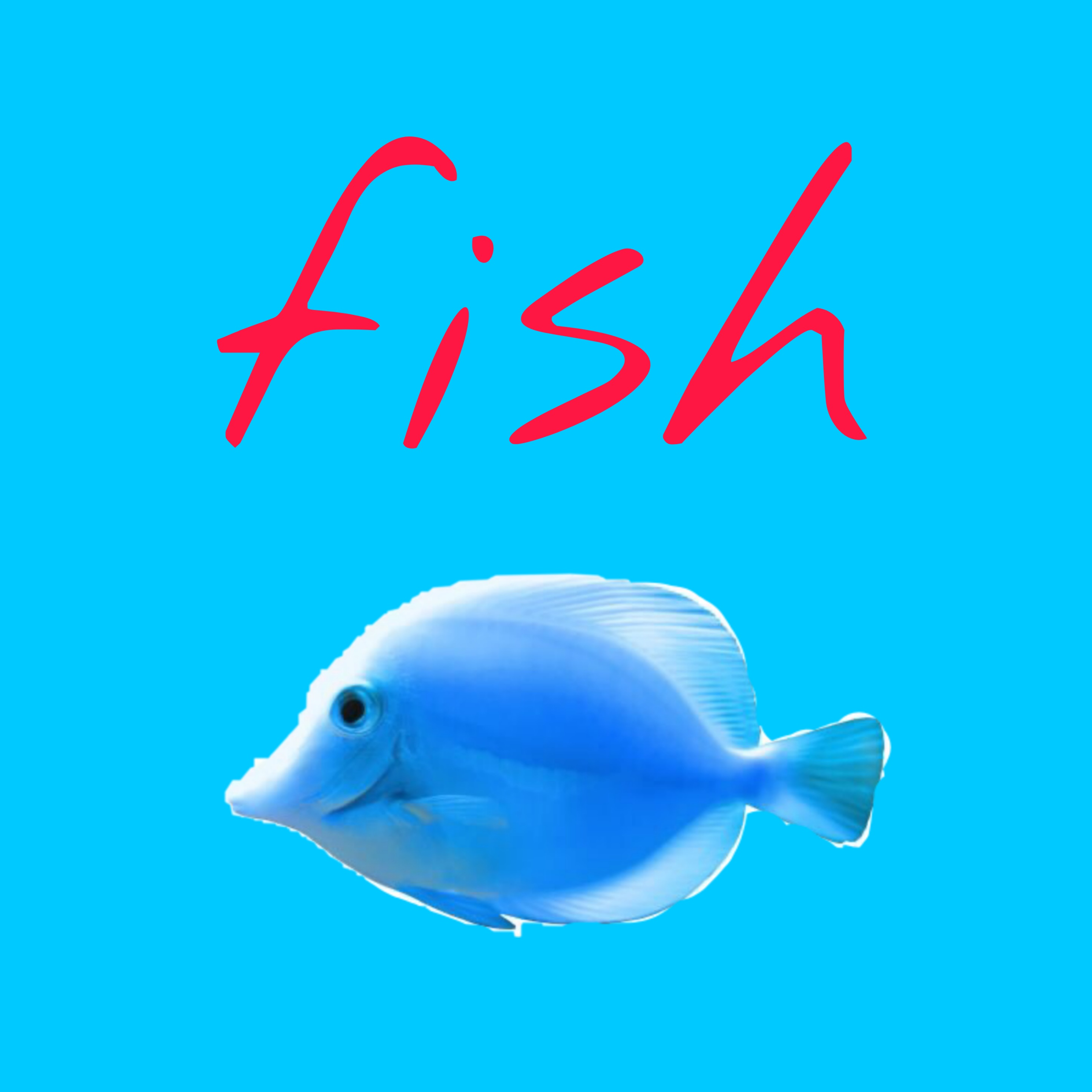 fish