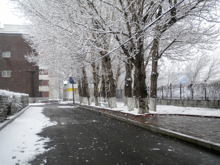 吉林艺术学院现代传媒学院校园雪景