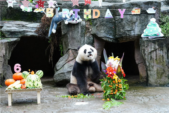 中国大熊猫保护研究中心