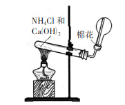 氨