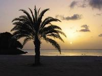 安提瓜和巴布达