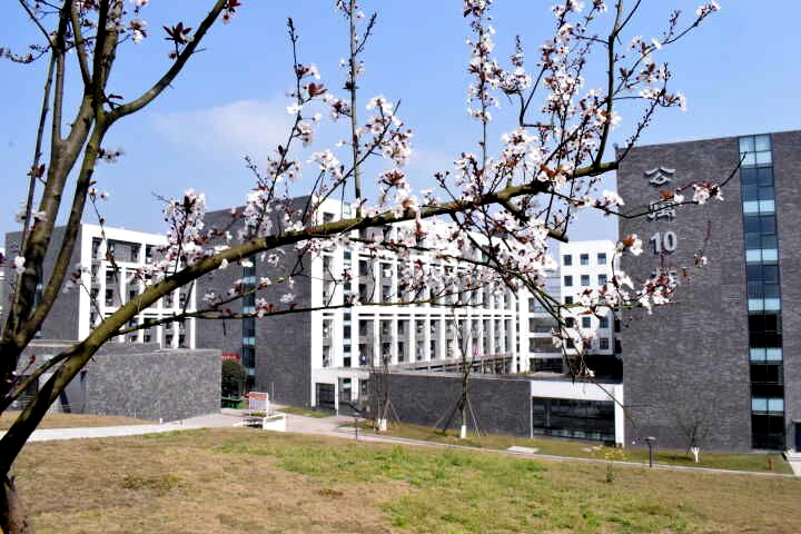 四川卫生康复职业学院