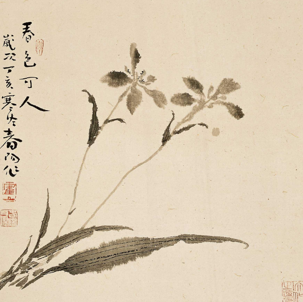 霍春阳