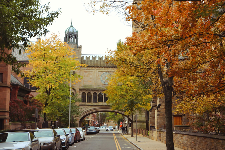 耶鲁大学