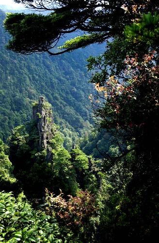 莽山