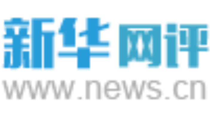 新华网评