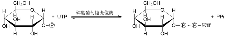 Snipaste_2023-06-06_15-53-45.png