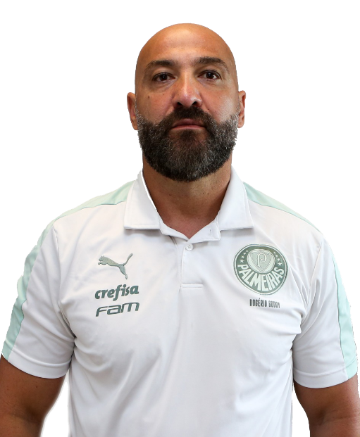 帕尔梅拉斯足球俱乐部