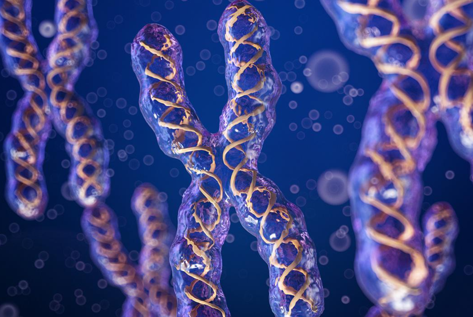 染色体平衡易位