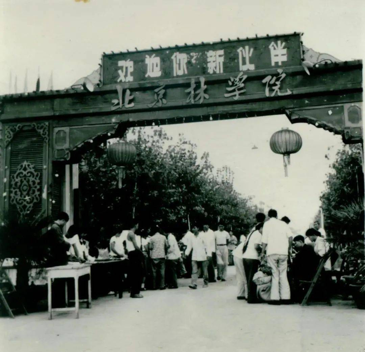 北京林业大学