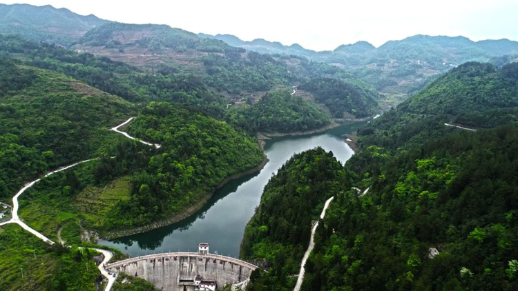 务川仡佬族苗族自治县