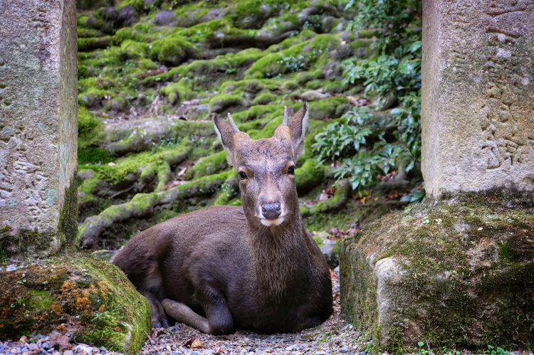 晋城市