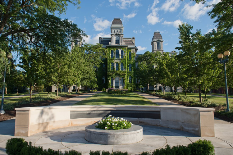 锡拉丘兹大学