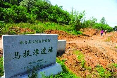 东西湖区