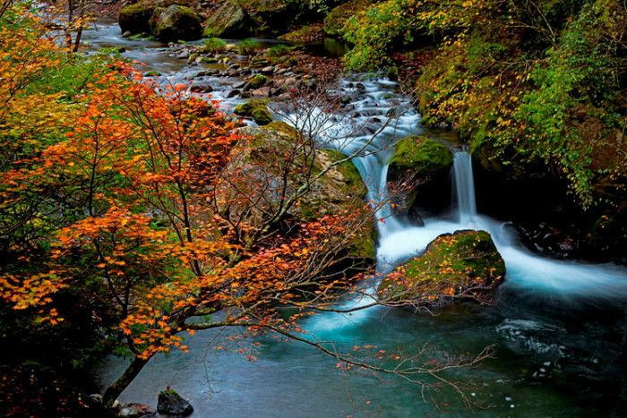 城口县