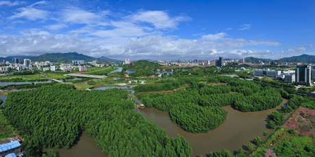 惠阳区