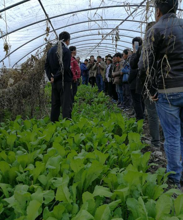 2017年12月察瓦龙乡扎那村温室大棚一角