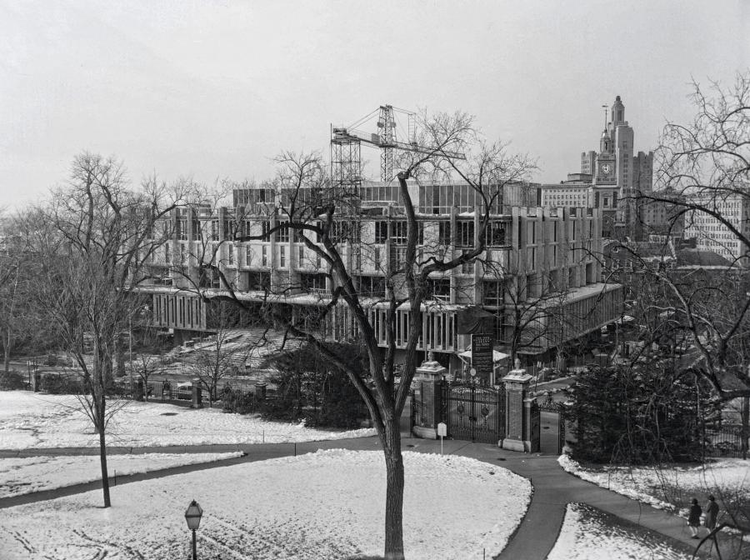 布朗大学