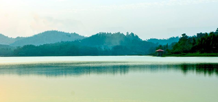 湛江市