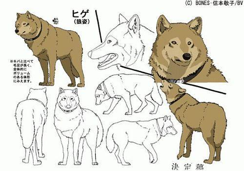 hige