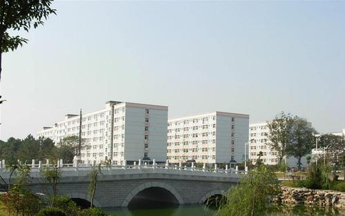 徐竹青