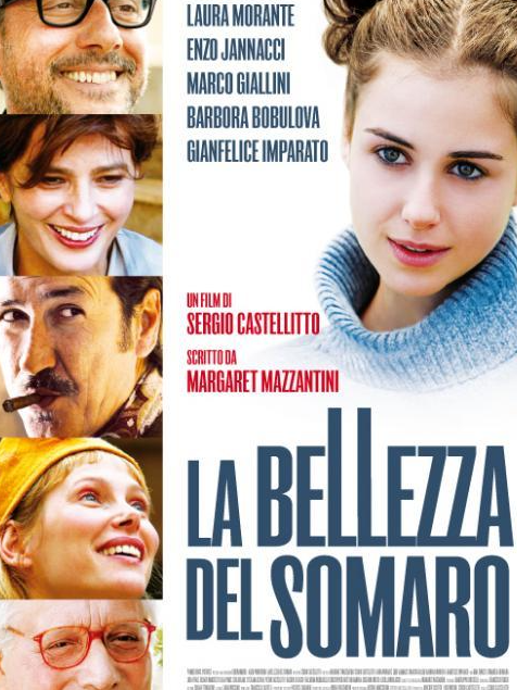 塞吉·卡斯特里图