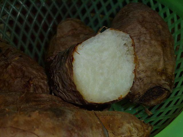 甘薯