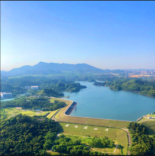 南山区
