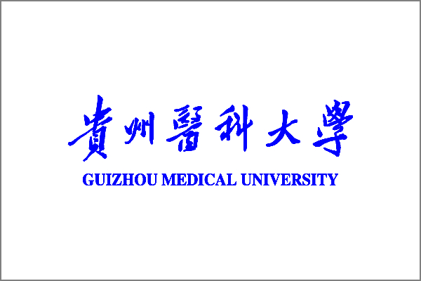 Guizhou Medical University flag.jpeg
