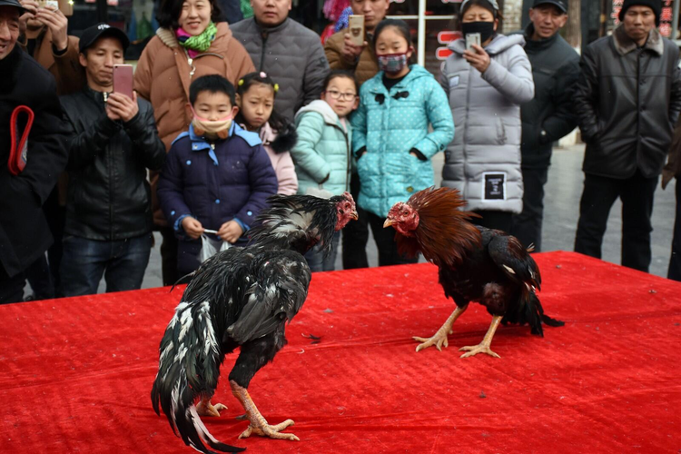 QQ图片20230722183729.jpeg