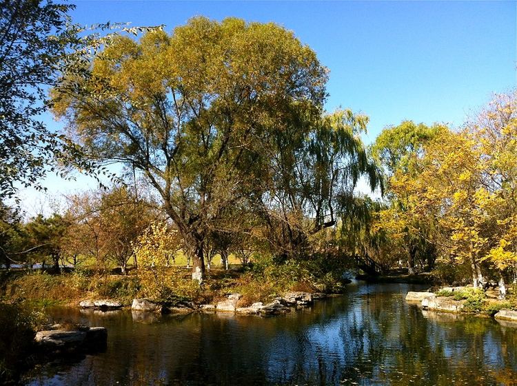 奥林匹克森林公园